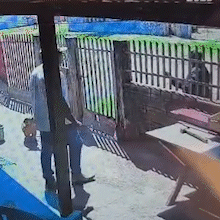 Atirador bate palmas na porta de casa e executa morador