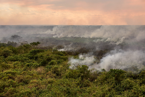 Defesa Civil lan&ccedil;a sistema de alertas para inc&ecirc;ndios florestais no Centro-Oeste