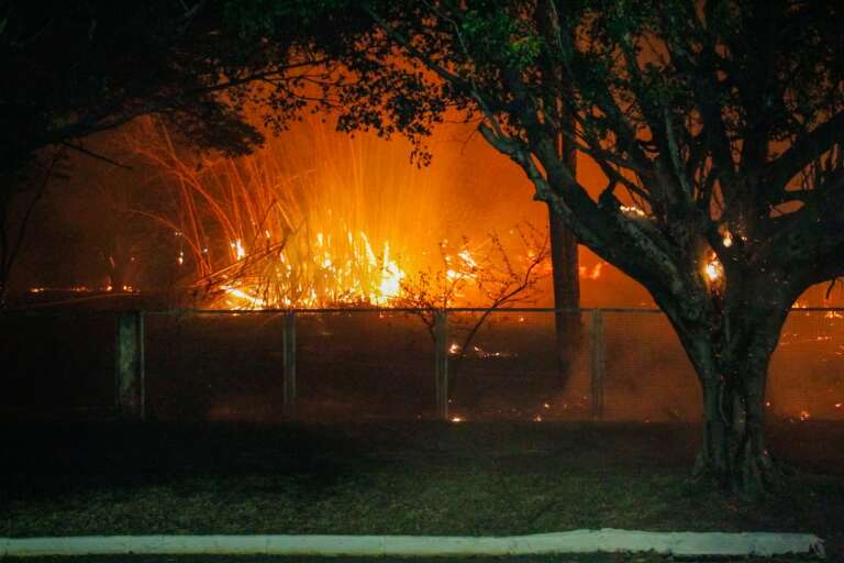Campo Grande News