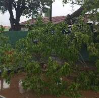 Inmet coloca em alerta 14 cidades para temporal com rajadas de vento 