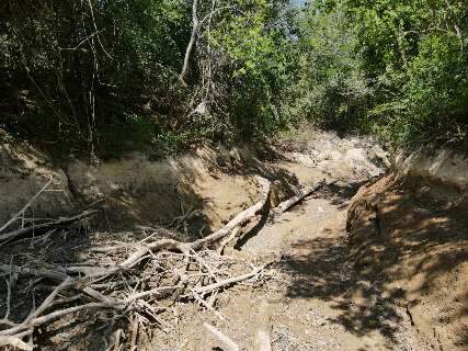 Investiga&ccedil;&atilde;o sobre causas da seca no Rio da Prata &eacute; prorrogada por 1 ano