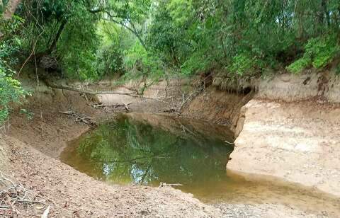 Com 7 km de seca no Rio da Prata, novo resgate de peixes &eacute; planejado