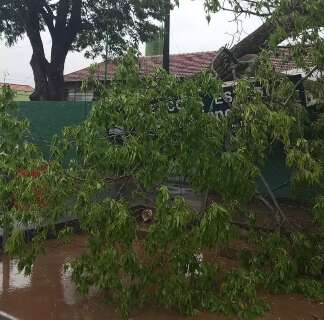 Inmet coloca em alerta 14 cidades para temporal com rajadas de vento 