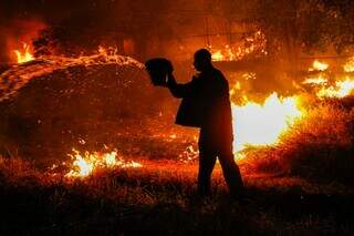 Inc&ecirc;ndio atinge &aacute;rea verde e fuma&ccedil;a encobre regi&atilde;o do Coronel Antonino