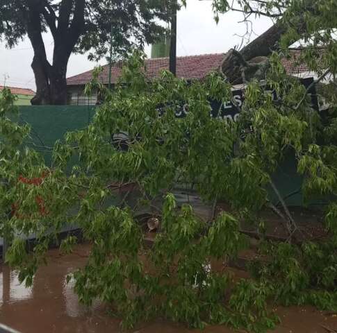 Inmet coloca em alerta 14 cidades para temporal com rajadas de vento 