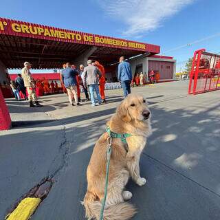Bombeiros fazem 55 anos e Snow, o c&atilde;o volunt&aacute;rio, conta como foi a festa