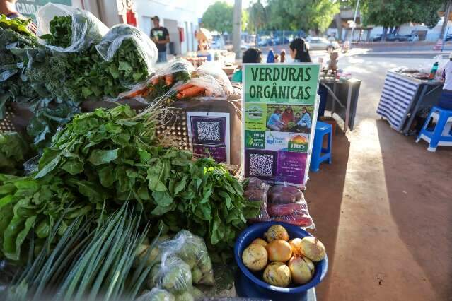 Pouco conhecido, mercado-escola tem alimentos org&acirc;nicos de R$ 5 a R$ 10