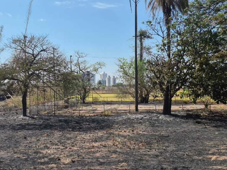 Campo Grande News