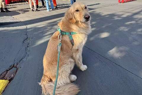 Bombeiros fazem 55 anos e Snow, o c&atilde;o volunt&aacute;rio, conta como foi a festa