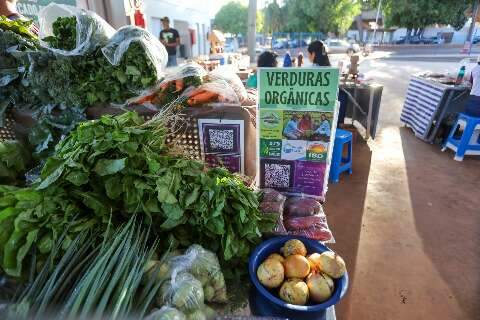 Pouco conhecido, mercado-escola tem alimentos org&acirc;nicos de R$ 5 a R$ 10