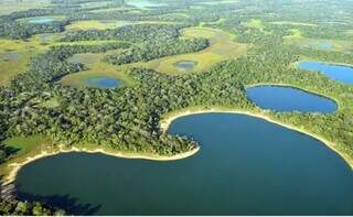 Brasil se une a 3 pa&iacute;ses para salvar on&ccedil;a e criar corredor ecol&oacute;gico no Pantanal
