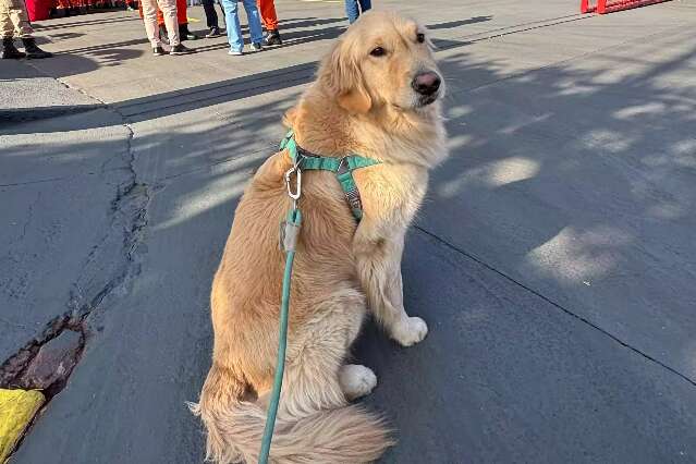 Bombeiros fazem 55 anos e Snow, o c&atilde;o volunt&aacute;rio, conta como foi a festa