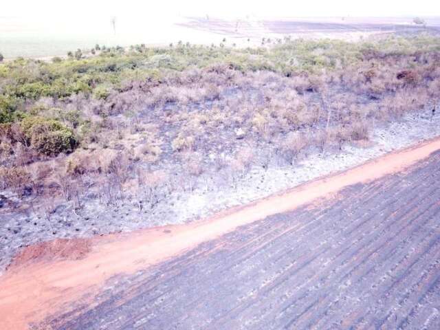 Inc&ecirc;ndio em colheita de cana destr&oacute;i mata e gera multa de R$ 4,8 milh&otilde;es