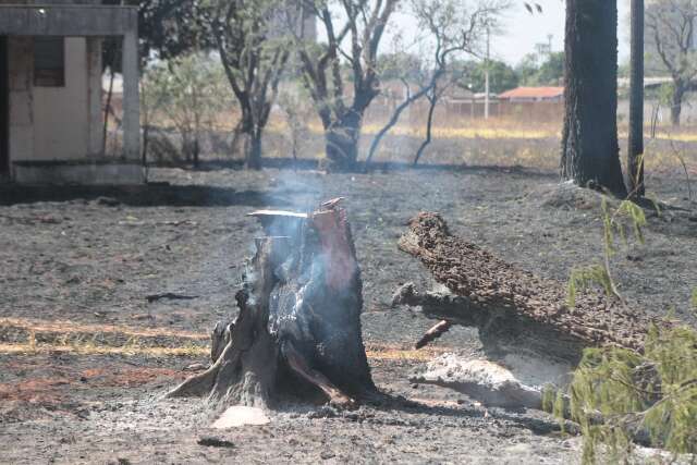 Terreno dos Correios segue com focos de inc&ecirc;ndio 15 horas ap&oacute;s o in&iacute;cio do fogo