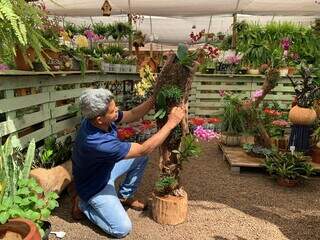 Jo&atilde;o ama as flores e colore troncos &#039;mortos&#039; com todo tipo de orqu&iacute;dea