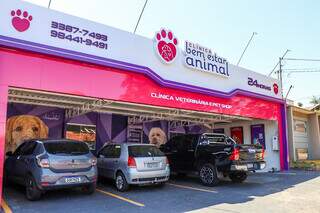 Cl&iacute;nica Bem Estar Animal mant&eacute;m campanha de castra&ccedil;&atilde;o desde 2018 e funciona 24h