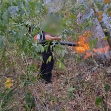 Foco de inc&ecirc;ndio atinge Ref&uacute;gio Cana&atilde; e Cara da On&ccedil;a na Serra da Bodoquena