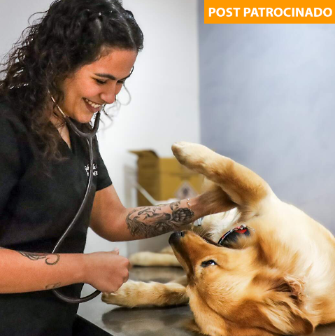 Cl&iacute;nica Bem Estar Animal mant&eacute;m campanha de castra&ccedil;&atilde;o desde 2018 e funciona 24h