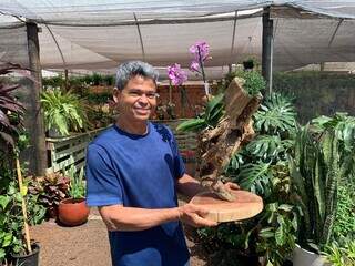 Jo&atilde;o ama as flores e colore troncos &#039;mortos&#039; com todo tipo de orqu&iacute;dea