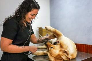Cl&iacute;nica Bem Estar Animal mant&eacute;m campanha de castra&ccedil;&atilde;o desde 2018 e funciona 24h