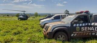 Opera&ccedil;&atilde;o binacional destr&oacute;i 868 toneladas de maconha na fronteira