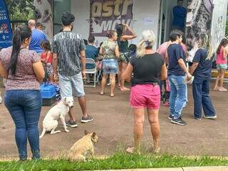 CCZ oferece cadastro para castrar pets, exame e vacina neste domingo