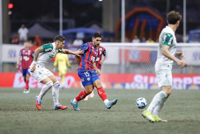 Bahia interrompe s&eacute;rie negativa ao vencer Palmeiras por 1 a 0