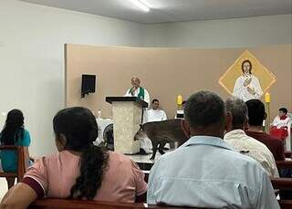 Anta surpreende fi&eacute;is ao invadir altar durante serm&atilde;o de padre
