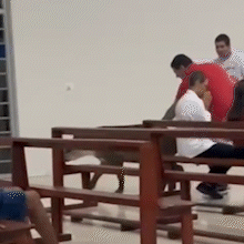 Anta surpreende fi&eacute;is ao invadir altar durante serm&atilde;o de padre