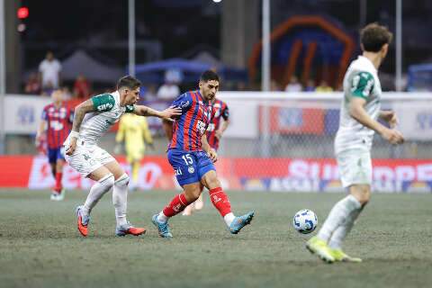 Bahia interrompe s&eacute;rie negativa ao vencer Palmeiras por 1 a 0