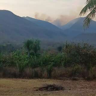 Ap&oacute;s 2024 cr&iacute;tico, chamas reaparecem com for&ccedil;a na Serra do Amolar