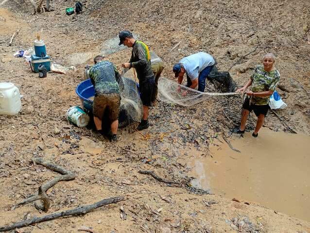A&ccedil;&atilde;o resgata mais 1,2 mil peixes em trecho cr&iacute;tico do Rio da Prata