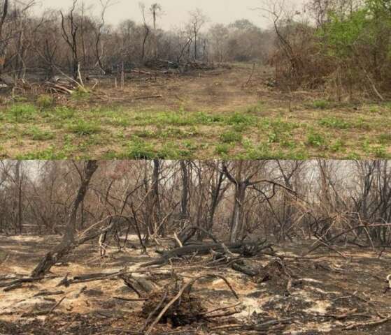 Associa&ccedil;&atilde;o de Moon deve recuperar 1,9 mil hectares em fazendas no Pantanal