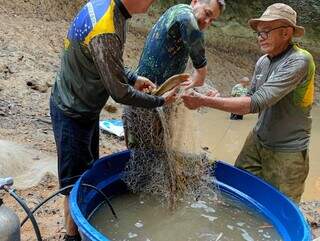 Ação resgata mais 1,2 mil peixes em trecho crítico do Rio da Prata Ação resgata mais 1,2 mil peixes em trecho crítico do Rio da Prata