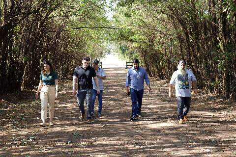 Comunidade rural de Campo Grande v&ecirc; chance real de ter luz em casa
