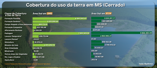 MS preserva s&oacute; 25% do Cerrado e est&aacute; entre os que menos conservam o bioma