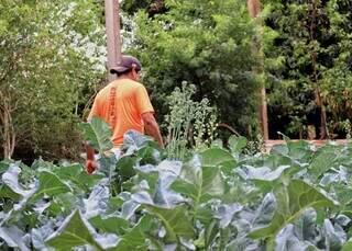 Frutas e verduras &ldquo;fora do padr&atilde;o&rdquo; s&atilde;o salvas por produtores e comerciantes