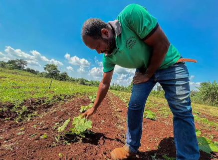 Governo destina R$ 1 milh&atilde;o para compra de alimentos de agricultores quilombolas