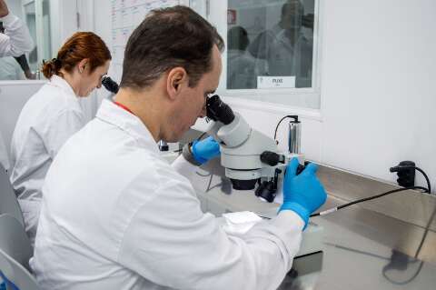 Maior biof&aacute;brica de Wolbachia do mundo &eacute; inaugurada e pode beneficiar MS