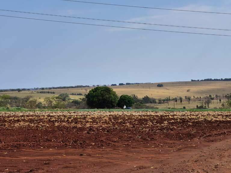 Campo Grande News