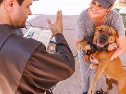 Dia de S&atilde;o Francisco ter&aacute; b&ecirc;n&ccedil;&atilde;o dos animais e programa&ccedil;&atilde;o especial na Capital