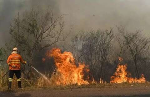 Queimadas no Pantanal crescem 88,9% em 15 dias e somam 57 mil hectares