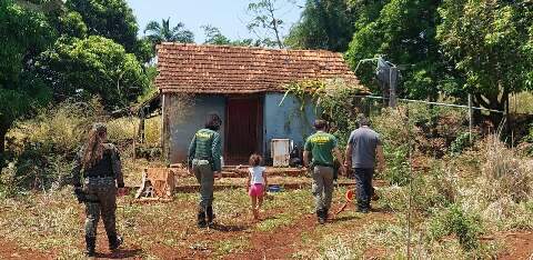 PMA descarta presen&ccedil;a de on&ccedil;a na Vila Nasser, mas segue monitorando &aacute;rea