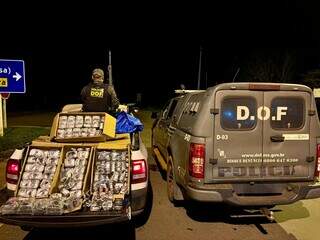 Paraguaia &eacute; presa com haxixe escondido em carga de materiais hospitalares