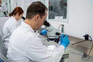 Maior biof&aacute;brica de Wolbachia do mundo &eacute; inaugurada e pode beneficiar MS