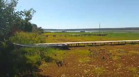 Avan&ccedil;o de plantas que engoliram Rio Pardo surpreende at&eacute; especialista