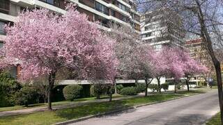 Primavera, a &eacute;poca perfeita do ano para conhecer Santiago