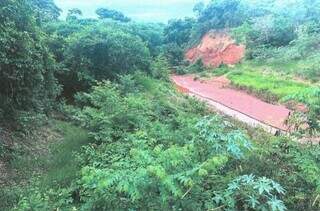 Desmatamento e abandono do Parque S&oacute;ter viram alvo de inqu&eacute;rito civil