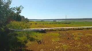Avan&ccedil;o de plantas que engoliram Rio Pardo surpreende at&eacute; especialista