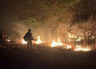 Brigadistas passam a madrugada combatendo fogo no Parque do Taquari